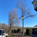 W&C Tree and Land Services - Tree Service