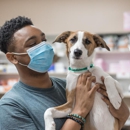 The Pet Hospitals