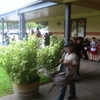 Yountville Elementary gallery