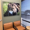 CityVet | Saratoga Springs Veterinary Clinic & Urgent Care gallery