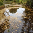 Akron Falls Park - Parks