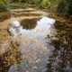 Akron Falls Park