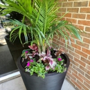 Heroes Lawn Care - Lawn Maintenance