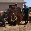 Top Tier Tree Care gallery