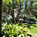 California Pain Consultants | Rancho Bernardo - Clinics