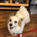 Seaside Pet Naturals - Pet Grooming