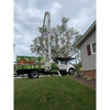 Taylorsville Tree Care gallery
