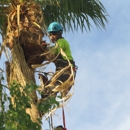 Tree Pros - Tree Service