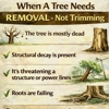 All Your Way Lawn, Tree, and Property Maintenance gallery