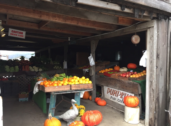 Andreotti Family Farm - Half Moon Bay, CA