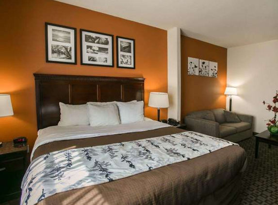 Sleep Inn & Suites Hwy 290/NW Freeway - Houston, TX