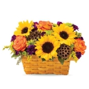 Herb Mila Florist - Flowers, Plants & Trees-Silk, Dried, Etc.-Retail