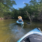 Tarpon Bay Explorers