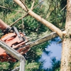 Lids Tree Services gallery