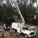 Jungle Jim's Tree Service, Inc. - Tree Service