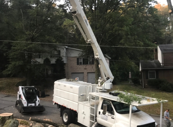 Jungle Jim's Tree Service, Inc. - Monroeville, PA. Cutting large Red Oak Tree