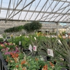 Bennett's Greenhouse Inc gallery