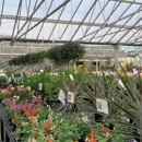 Bennett's Greenhouse Inc - Florists