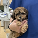 VCA All Pet Animal Hospital/Taylorsville