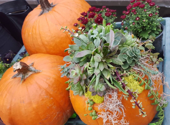 Armstrong Garden Centers - Huntington Beach, CA