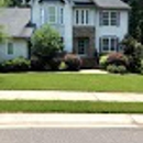 Distinct Lawns - Tree Service