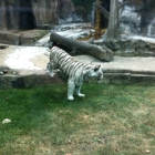 Potawatomi Zoo