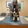 Valley Veterinary Hospital gallery