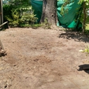 Jimmy's stump grinding service