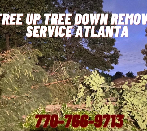 Tree Up Tree Down Removal Service Atlanta