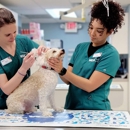 VCA Knightswood Animal Hospital - Veterinary Clinics & Hospitals