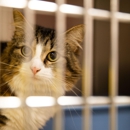 Hog Mountain Animal Hospital - Pet Services