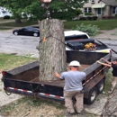 Timberland Tree Service - Stump Removal & Grinding