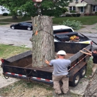 Timberland Tree Service