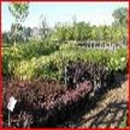 CREEKSIDE GARDEN CENTER - Mulches