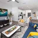 Story Wesley Chapel | Luxury Apartment Homes - Apartments