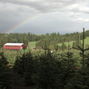 Spring Valley Family Tree Farm