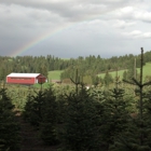 Spring Valley Family Tree Farm