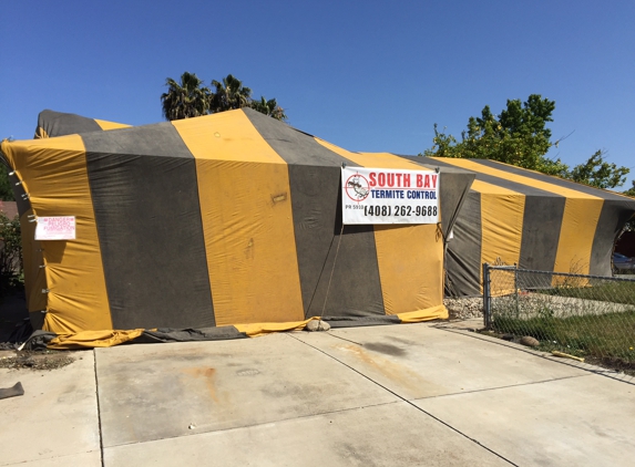 South Bay Termite Control - San Jose, CA