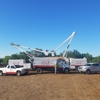 Joe Meyer Tree Service Inc gallery