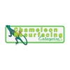 Chameleon Resurfacing Enterprises gallery
