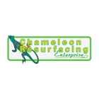Chameleon Resurfacing Enterprises