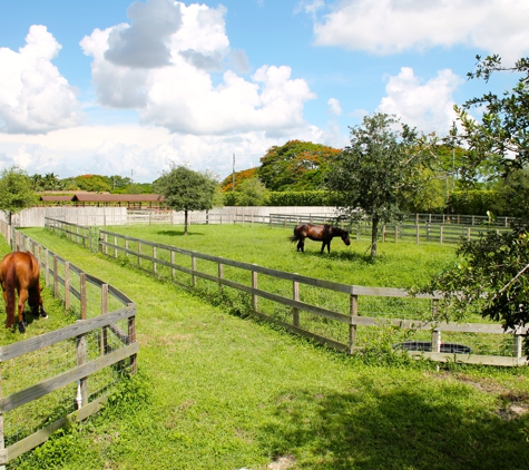 Star Stables Miami - Miami, FL