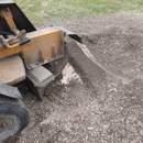 Liput Boys Stump Grinding - Tree Service