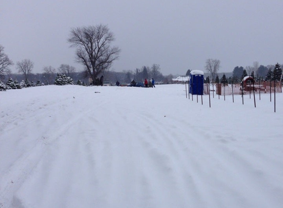 Matthes Evergreen Farm - Ida, MI