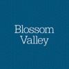 Blossom Valley gallery