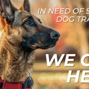 Dog Training Elite Greater Tampa
