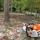 Levi's Tree Service - Arborists