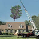 Hansen Landscape & Tree Services - Tree Service