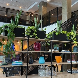 Greenfingers Indoor Plant Hire - Greenwith, SA