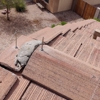 Arizona Pest Experts gallery
